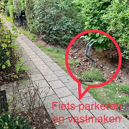 Wilde Moeflon, Geniet Van De Vrije Natuur! Otterlo Luaran gambar
