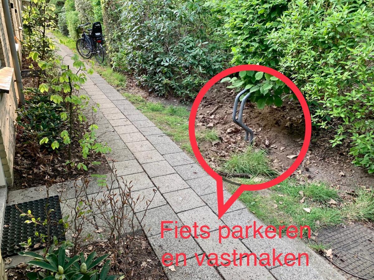 Wilde Moeflon, Geniet Van De Vrije Natuur! Otterlo Luaran gambar